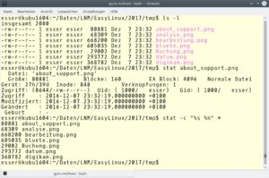 Abbildung 1: Das Programm "stat" gibt alle bekannten Informationen zu einer Datei aus – oder auf Wunsch nur einzelne Angaben wie etwa die Größe in Byte ("%s").
