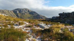 Abbildung 1: Auf dem Hoerikwaggo Trail am Tafelberg unterwegs &ndash; mit einem GPS-Track haben Sie selbst Jahre sp&auml;ter noch pr&auml;zise Informationen zur Hand, welchen Weg Sie eingeschlagen haben. 