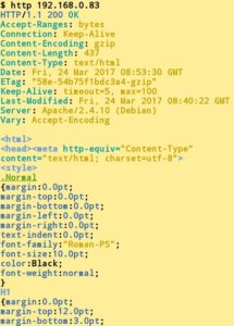 Abbildung 1: Geben Sie beim Aufruf der Software keine Optionen an, liefert das Programm den Code der entsprechenden Webseite zurück.