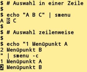 Abbildung 2: M&ouml;chten Sie die Auswahlpunkte mit eigenem Text versehen, dann nutzen Sie den Echo-Befehl. 