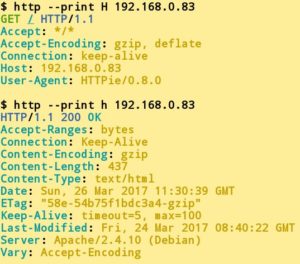 Abbildung 2: Mit zusätzlichen Parametern für die Option <code>--print</code> schränken Sie die Ausgabe ein.