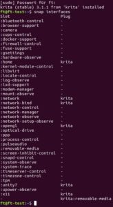 Abbildung 6: Der Befehl <code>snap interfaces</code> gibt aus, welche Schnittstellen eine Anwendung benutzt. 