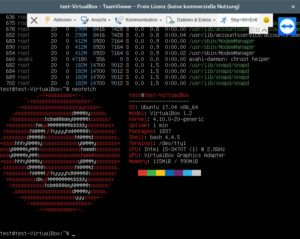 Abbildung 4: N&uuml;tzlich wenn die Desktop-Umgebung oder der X-Server streikt: Mit Teamviewer bekommen Sie auch ohne grafische Oberfl&auml;che Zugriff auf das System. 