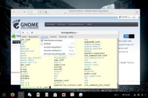 Abbildung 5: Mit der Gnome-Shell-Erweiterung Dash to Panel schalten Sie die Dash-Ansicht dauerhaft ein und verschieben gleichzeitig alles an den unteren Rand. 