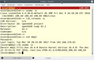Abbildung 5: "uname" ist ein Klassiker der Unix-Welt und informiert darüber, welches Unix läuft. Unter Linux liefert "lsb_release" Hinweise zur Distribution.