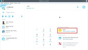 Abbildung 4: Skype ermöglicht auch Telefonate ins Mobil- oder Festnetz – dafür benötigen Sie ein Guthaben.