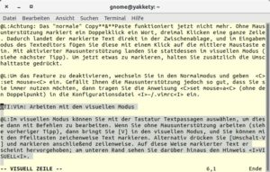 Abbildung 2: &Uuml;ber [V] bzw. <span class="key-combo">[Umschalt]+[V]</span> schalten Sie in den visuellen Modus um. Anschlie&szlig;end markieren Sie mit den Pfeiltasten die gew&uuml;nschten Textbl&ouml;cke. 