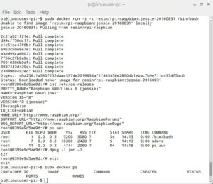Abbildung 3: F&uuml;r einen ersten Test kommen ein vorbereitetes Image sowie eine einfache Shell als Parameter f&uuml;r den Container zum Einsatz. Das Image stammt aus der offiziellen Docker-Registry. 