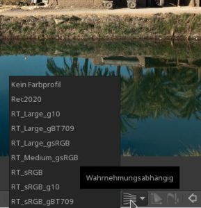 Abbildung 8: Farbprofil und Rendering Intent lassen sich nun in Rawtherapee definieren. 
