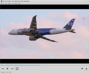 Abbildung 3: Selbst Videos laufen unter Trisquel Linux problemlos.