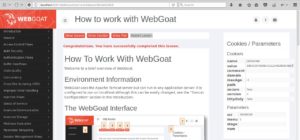 Abbildung 5: Webgoat eignet sich eher für bereits fortgeschrittene Anwender.