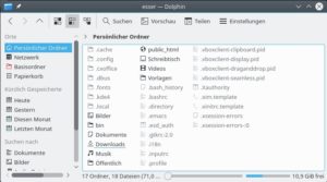 Abbildung 1: Dolphin zeigt auch die versteckten Eintr&auml;ge an, wenn Sie diese Ansichtsoption mit <span class="key-combo">[Alt]+[.]</span> aktivieren. 