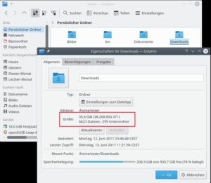 Abbildung 2: 35 GByte im Ordner "Downloads": Wenn Sie die sichern wollen, brauchen Sie Platz.