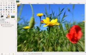 Abbildung 5: Mehr Dynamik f&uuml;r die Blumenwiese &ndash; mit dem Filter "Bewegungsunsch&auml;rfe" zaubern Sie den so genannten Zoom-Burst-Effekt ins Foto. 