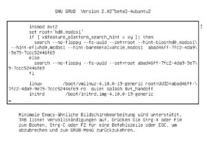 Abbildung 3: Im Grub-Editor geben Sie hinter "linux" die Parameter an (hier in der dritten Zeile von unten). Die &uuml;brigen Eintr&auml;ge helfen Grub, das Betriebssystem zu finden. 