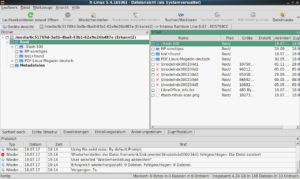 Abbildung 3: In der Datei- und Ordneransicht zeigt R-Linux rekonstruierbare Inhalte an.
