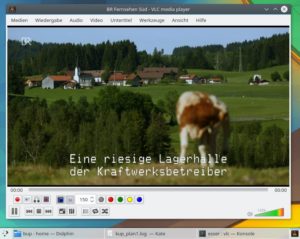 Abbildung 4: Dank Videotext-Plug-in k&ouml;nnen Sie auf einigen Sendern Spielfilme auch mit Untertiteln sehen. 