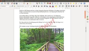 Abbildung 5: Bilder in Textdokumenten verdecken die Wasserzeichen, die ja ebenfalls als Grafiken verankert sind. 