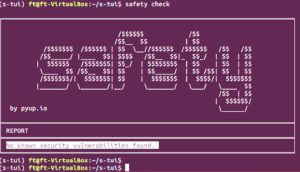 Abbildung 2: Mithilfe des Pakets <span class="ui-element">Safety</span> stellen Sie sicher, dass die Python-Umgebung sauber bleibt.