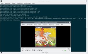 Abbildung 2: Hängen Sie an den Befehl den Namen eines Programms an, so sperrt Firejail statt der Shell dieses in die Sandbox.