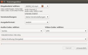 Abbildung 8: Transmageddon war im Test zwar in der Lage, die Titel einer Video-DVD zu erkennen, sie lie&szlig;en sich aber nicht ausw&auml;hlen. 