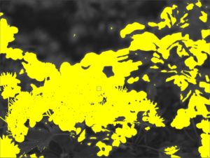 Abbildung 10: Darktable unterstützt verschiedene Varianten von Masken (gelb hervorgehoben), um die Reichweite von Werkzeugen zu begrenzen.