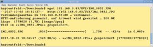 Abbildung 3: Wenn Sie versuchen, eine Datei mit Wget herunterzuladen, m&uuml;ssen Sie den Namen der Datei komplett und ohne Wildcards angeben.