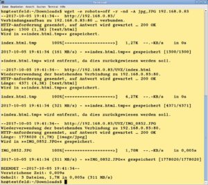 Abbildung 4: Weisen Sie Wget an, nur Dateien mit einer bestimmten Endung herunterzuladen, zieht das Programm trotzdem zuerst alle Files, die es findet, und l&ouml;scht anschlie&szlig;end die unerw&uuml;nschten.
