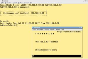 Abbildung 6: Mit einem SSH-Tunnel bauen Sie f&uuml;r eine Applikation eine verschl&uuml;sselte Verbindung zu einem anderen Rechner f&uuml;r einen HTTP-Zugriff auf.