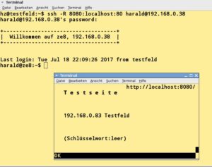 Abbildung 7: Bauen Sie einen Reverse Tunnel auf, bleibt der HTTP-Zugriff trotzdem m&ouml;glich.
