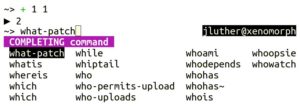 Abbildung 1: Elvish verwendet einen frei konfigurierbaren doppelten Prompt, bei dem ein Teil der Informationen an der rechten Seite des Terminals steht.