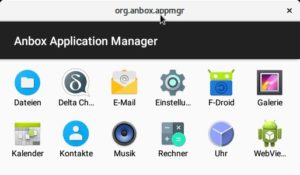 Abbildung 3: Die Anbox Oberfl&auml;che nach dem Start und der Installation von Delta&nbsp;Chat und F-Droid.