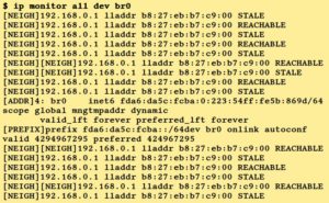 Abbildung 1: Die Monitorfunktion von IP in Aktion.