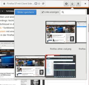 Abbildung 7: Bei Bedarf sichert Eolie s&auml;mtliche Bilder einer Webseite oder auch Youtube-Videos auf der Festplatte.