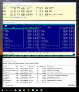 Abbildung 6: Der Windows-Task-Manager zeigt jeden Linux-Prozess separat an – die aus Linux-Sicht vergebenen Prozess-IDs sind aber unabhängig von den Windows-Prozess-IDs.
