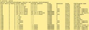 Abbildung 6: Netstat listet Verbindungen auf, wobei es die Programme anzeigt, die die Verbindungen nutzen.