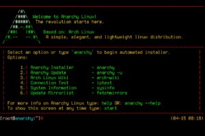 Abbildung 4: Das Anarchy-CLI-Image verzichtet auf die grafische Oberfläche und bootet direkt in eine Auswahlmaske für den Installer.