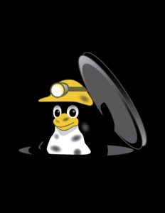Abbildung 3: Bereits seit&nbsp;1999 ersetzt LinuxBIOS auf einigen Supercomputern und eingebetteten Ger&auml;ten das herk&ouml;mmliche BIOS.
