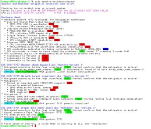Abbildung 4: Der Testlauf von <code>sudo spectre-meltdown-checker</code> hier beweist: alles gut.
