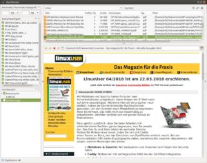 Abbildung 4: Die Inhalte von Webseiten kann Docfetcher im integrierten Browser darstellen.