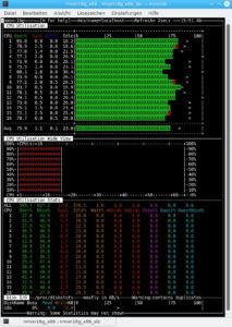 Abbildung 1: Die Monitoring-Software Nmon zeigt Lastspitzen auf einem Rechner nahezu in Echtzeit an.