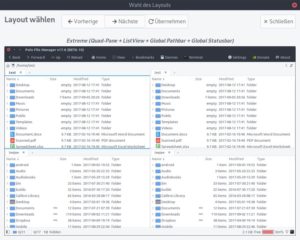 Abbildung 1: Der "Style Wizard" stellt eine Reihe von gebr&auml;uchlichen Layouts f&uuml;r Dateimanager vor und aktiviert diese per Mausklick. So gibt es neben dem Norton-Commander-Modus mit zwei Panelen einen "Extreme mode" mit vier Unterfenstern.
