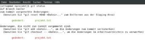 Abbildung 3: Zwei Versionen einer Datei und m&ouml;gliche Anweisungen, um mit diesen zu arbeiten.