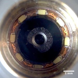 Abbildung 2: Obwohl nur acht Millimeter winzig, bringt der Kamerakopf eines USB-Mikroskops noch acht Mikro-LEDs mit.