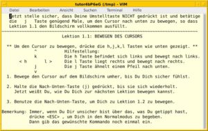 Abbildung 4: Mit dem Vimtutor lernen Sie den Umgang mit dem umfangreichen Editor Schritt f&uuml;r Schritt.