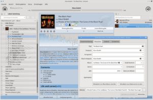 Abbildung 1: Viele Audioplayer zeigen die Metadaten bei der Wiedergabe an, hier KDEs Amarok.