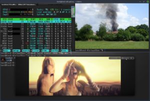 Abbildung 7: Das Terminology-Fenster lässt sich in mehrere Bereiche untergliedern. Eigene Helfer-Anwendungen zeigen Thumbnails von Bildern in den Verzeichnissen oder spielen gar Video- und Musikdateien direkt im Terminal ab.