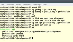 Abbildung 2: Nach dem Erzeugen der Schl&uuml;ssel gilt es, die Netzwerkschnittstelle <code>wg0</code> zu erstellen und ihr den &ouml;ffentlichen Schl&uuml;ssel zuzuordnen. Im Beispiel weist das System au&szlig;erdem den Port zu.
