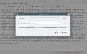 Abbildung 2: Die obere Zeile dient der Pfadangabe f&uuml;r einen vorhandenen Schl&uuml;ssel, in der unteren Zeile erwartet EncryptPad den Namen f&uuml;r den zu erstellenden Schl&uuml;ssel.