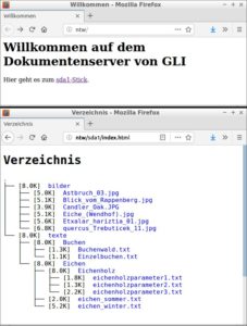Abbildung 6: Neben der Einstiegsseite (oben) lohnt es sich, die Ansicht mit den verlinkten Dateien auf dem USB-Stick noch etwas aufzupeppen. Dabei hilft das Programm Tree.